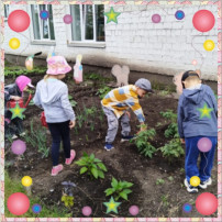 🌸🍅 ЛЕТНИЙ ТРУД НАШИХ НЕПОСЕД, ПРИНОСИТ ПЛОДЫ! 🌸🍅 ЛЕТНИЙ ТРУД НАШИХ НЕПОСЕД, ПРИНОСИТ ПЛОДЫ!.