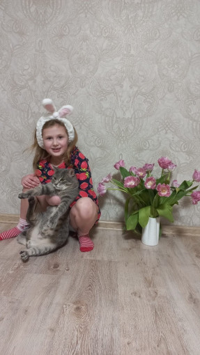 Праздник кошек. Праздник кошек.